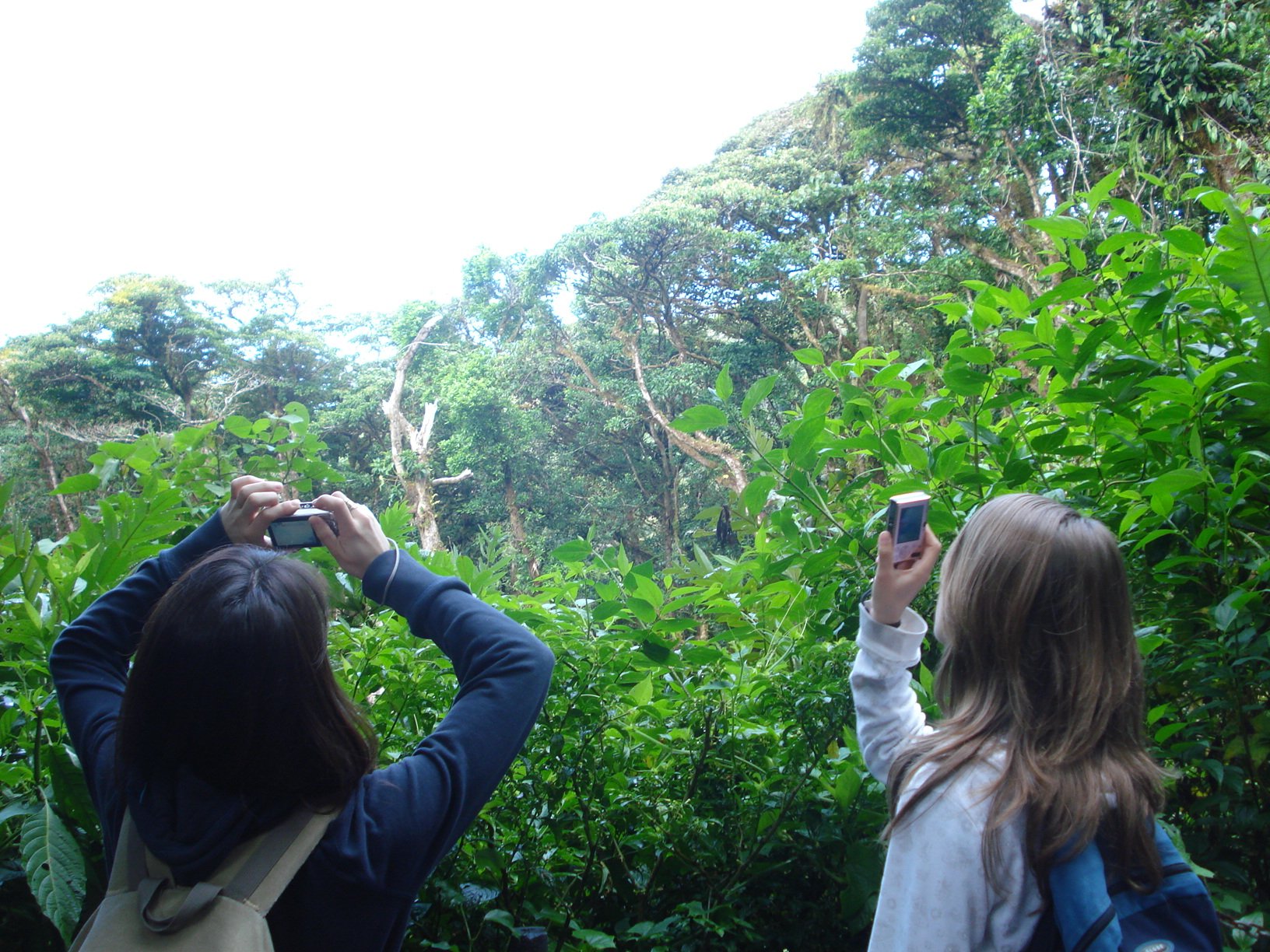 Jeunes filles prenant des photos dans la jungle 